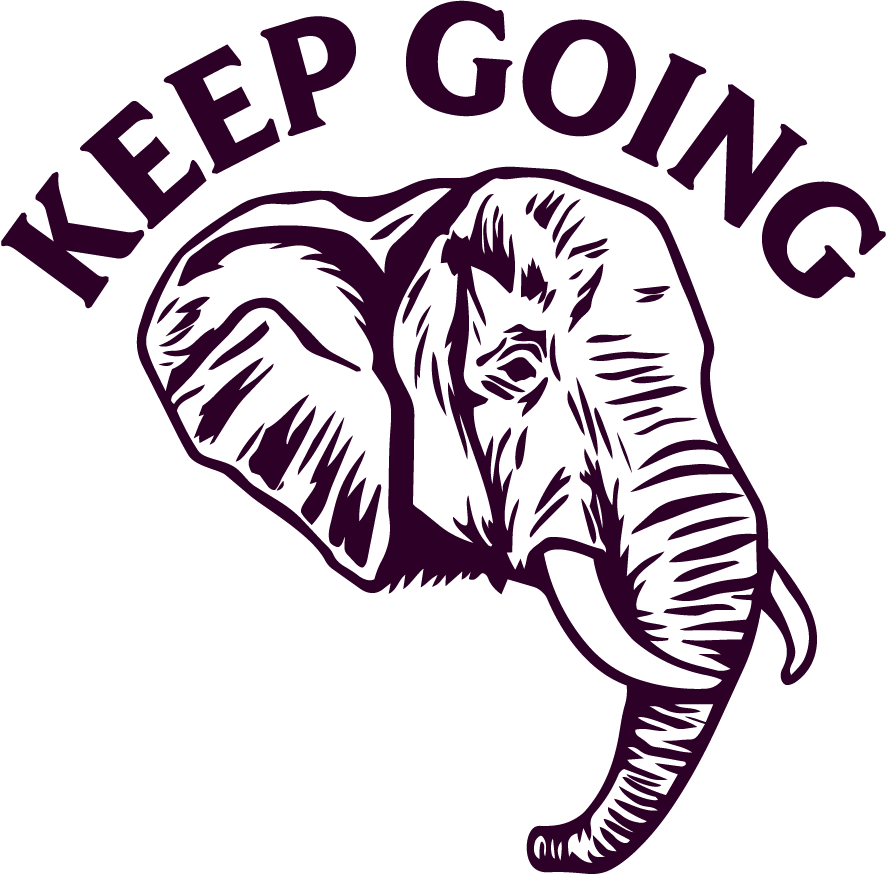 🧭 Solo Traveler Collection